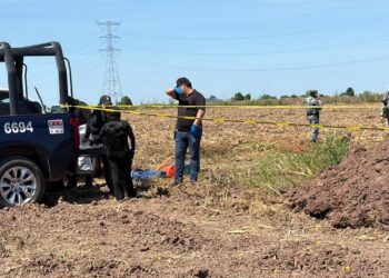 Localizan más restos humanos en zona agrícola de Villa Juárez, Navolato