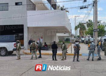 Localizan a hombre sin vida en el fraccionamiento Palos Prietos, en Mazatlán