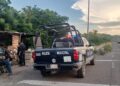 Policías rescatan a adulto mayor atacado por un enjambre de abejas en San Lorenzo, Culiacán