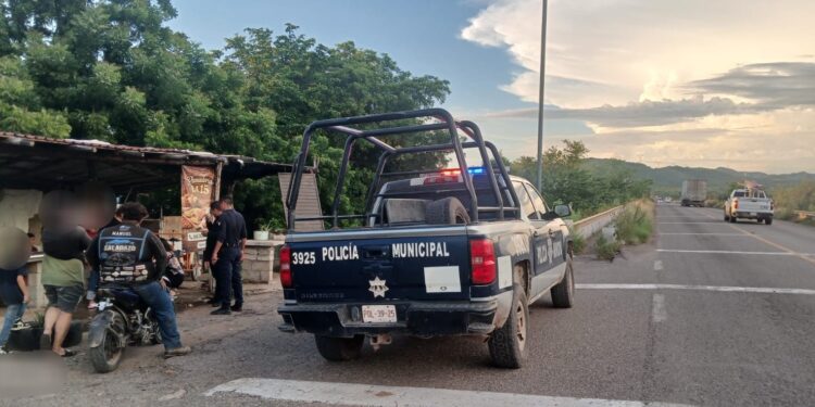 Policías rescatan a adulto mayor atacado por un enjambre de abejas en San Lorenzo, Culiacán