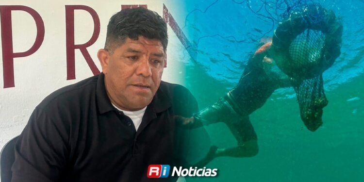 Marejadas dejan sin visibilidad a los buzos; piden explicación sobre lo que ocurre en el mar