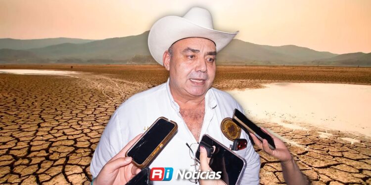 Ganaderos de Mazatlán podrían enfrentar la etapa más difícil de la sequía a partir de febrero