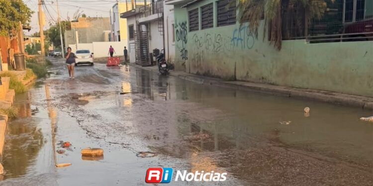 Denuncian desbordamiento de aguas negras desde hace más de un mes en la Ampliación Valles del Ejido, al norte de Mazatlán