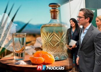 Sinaloa abre la puerta al mezcal con denominación de origen en cuatro municipios