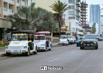 Transportistas de Mazatlán ya no tienen ingresos suficientes para mantener sus unidades: Alianza de Pulmonías