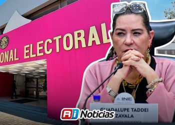 Guadalupe Taddei descarta renuncia al INE y acusa golpeteo político