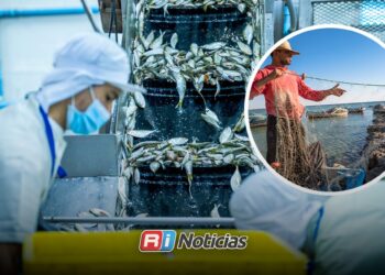 Empacadoras de camarón buscan alternativas para mantenerse activas fuera de temporada