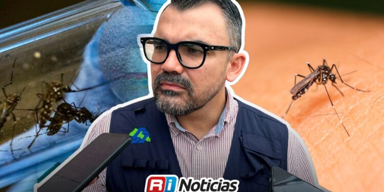 Mazatlán registra 11 casos de dengue; Refuerzan prevención para mantener la incidencia a la baja