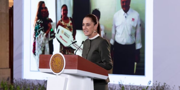 Gobierno de Sheinbaum prevé sembrar mil 500 millones de árboles y superar meta de AMLO con programa Sembrando Vida