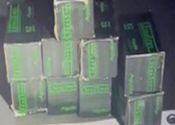 Aseguran 900 cartuchos y cuatro granadas durante revisión a autobús en Mazatlán