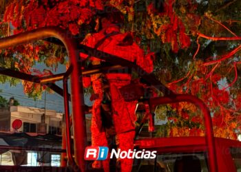 Localizan a hombre sin vida envuelto en una cobija en Mazatlán II