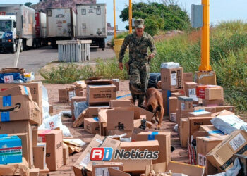 Aseguran 1.7 toneladas de camarón irregular y vapeadores con cannabinoides en Sinaloa