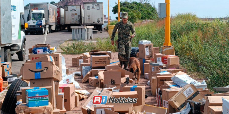 Aseguran 1.7 toneladas de camarón irregular y vapeadores con cannabinoides en Sinaloa