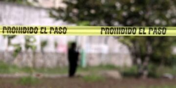 Tendencia a la baja de homicidios dolosos, pasó de 100 a 47.1 diarios: Claudia Sheinbaum