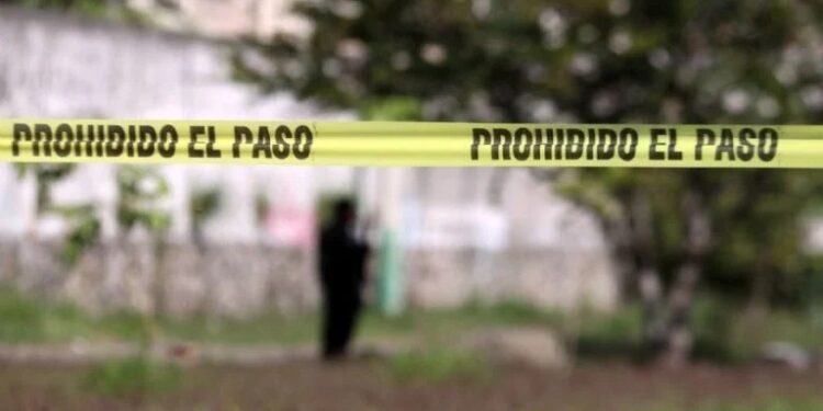 Tendencia a la baja de homicidios dolosos, pasó de 100 a 47.1 diarios: Claudia Sheinbaum