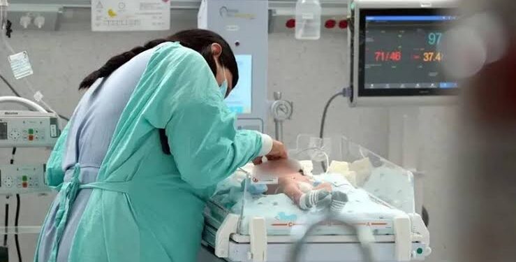 Sheinbaum promete investigación por muerte de bebés en hospitales del IMSS