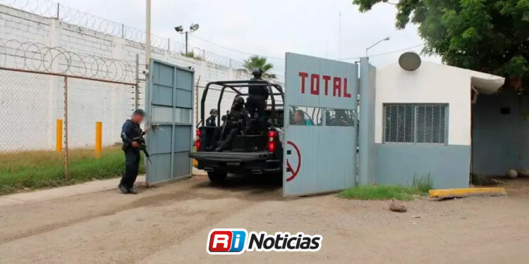 Procesan a cuatro hombres asegurados con armas, cientos de cartuchos y droga en El Rosario